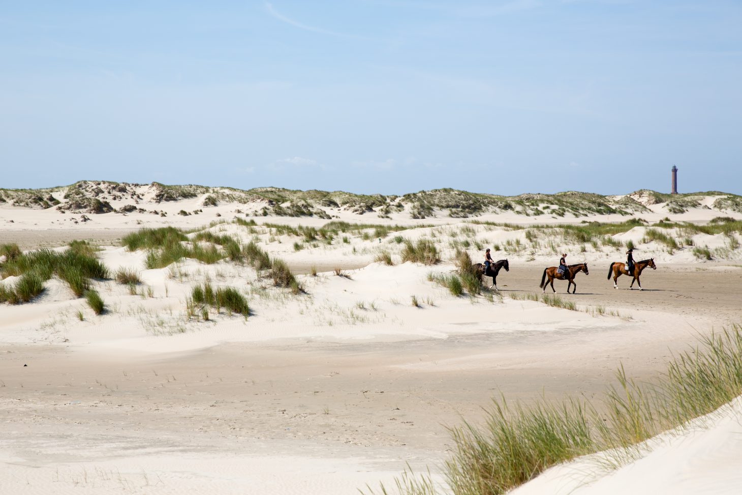 Reiter in den Dnen von Norderney