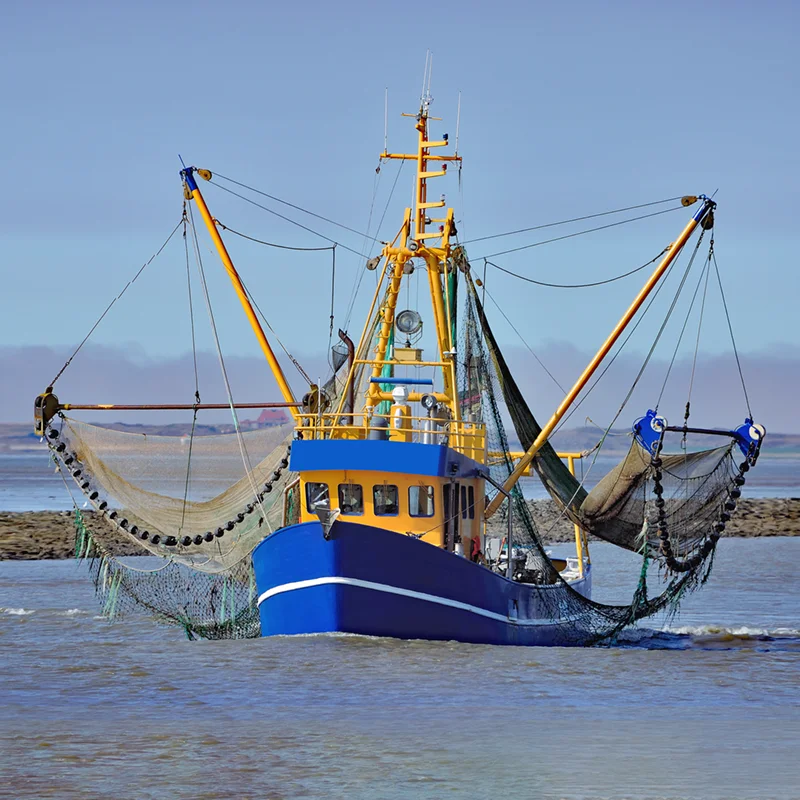 Fischkutter auf dem Meer