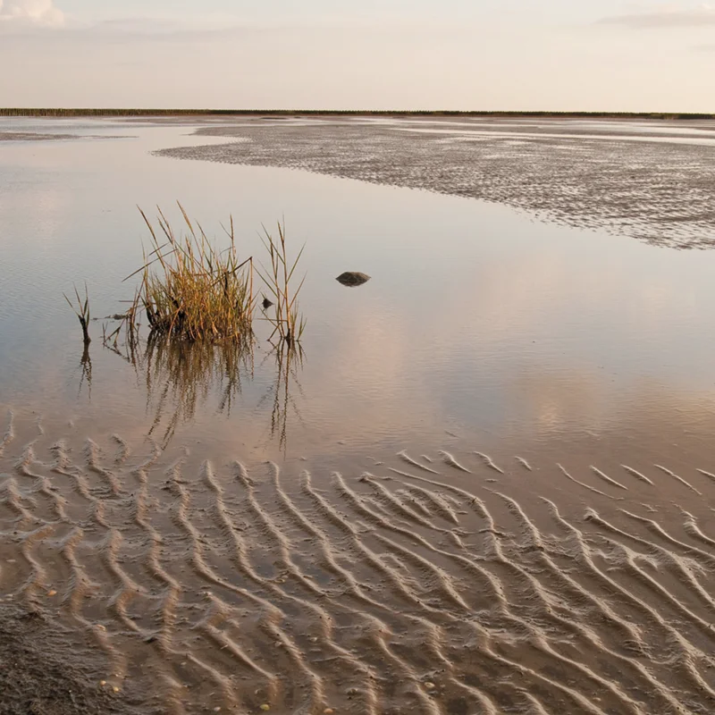 Wattenmeer Nordsee