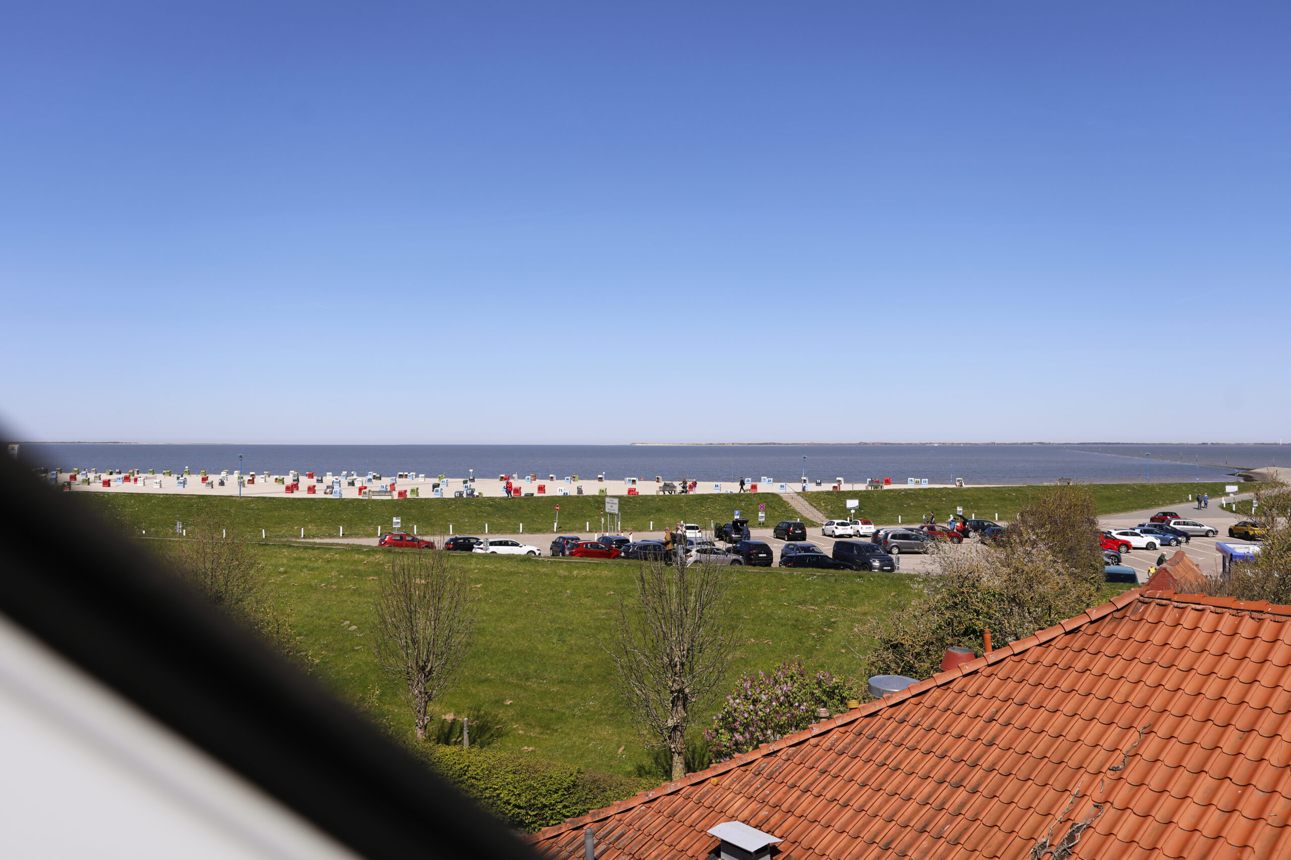 _Z0A7226 - Kopie